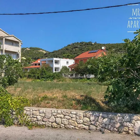 Mr. Hall * Barbat na Rabu